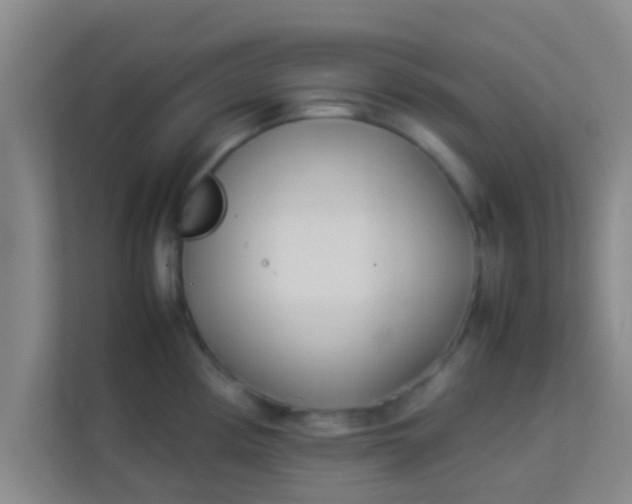 X0000113931194200910091555