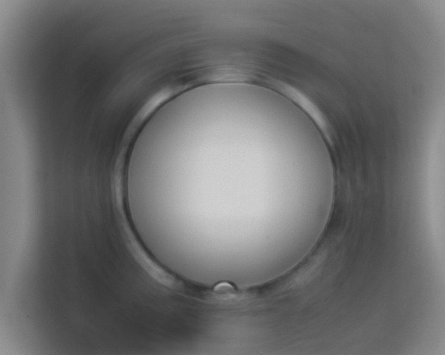 X0000113931195200910091555