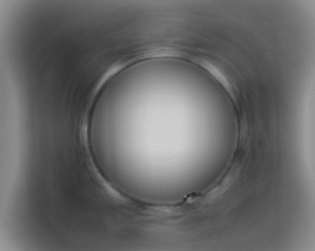 X0000113931197200910091555