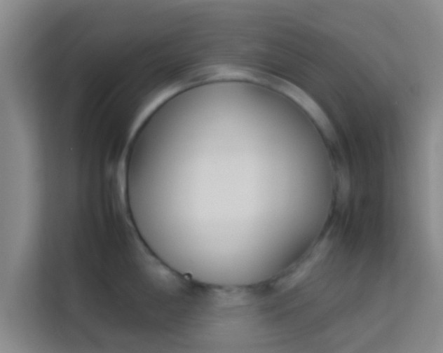 X0000113931198200910091555