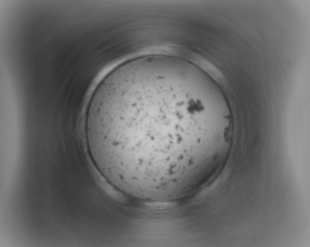 X0000113931200200910091555