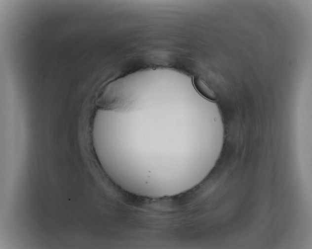 X0000113931201200910091555