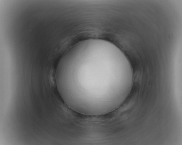 X0000113931202200910091555