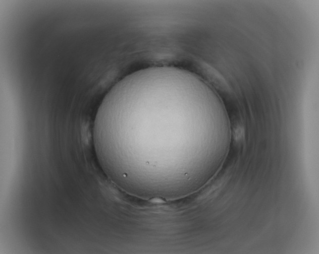 X0000113931204200910091555