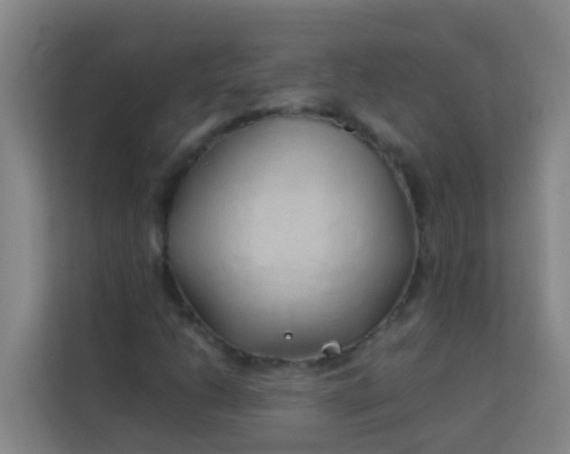 X0000113931206200910091555