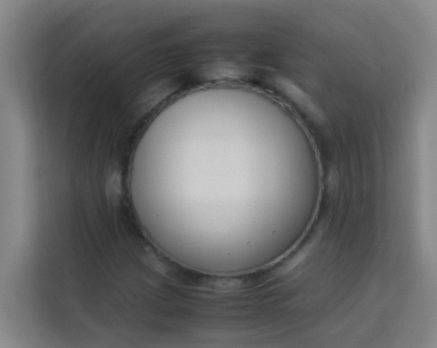 X0000113931209200910091555