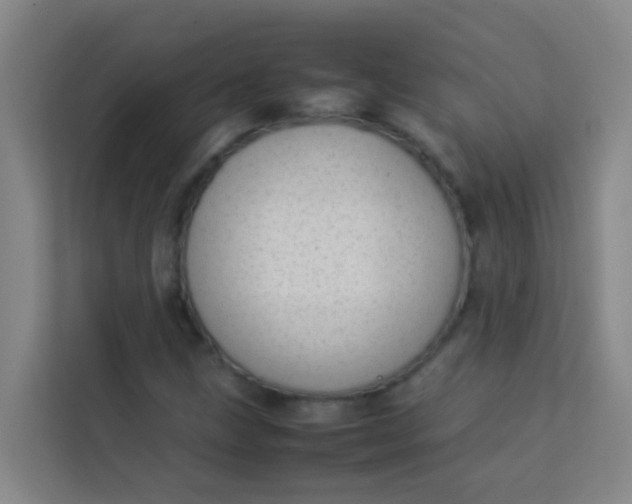 X0000113931211200910091555