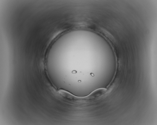 X0000113931212200910091555