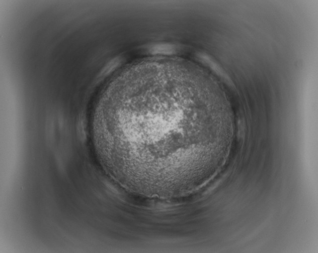 X0000113931213200910091555