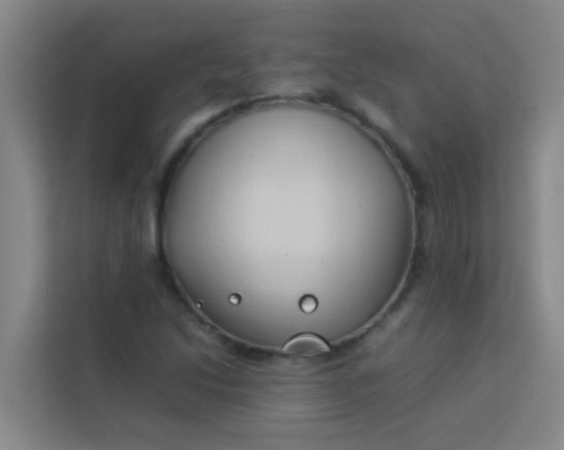 X0000113931214200910091555