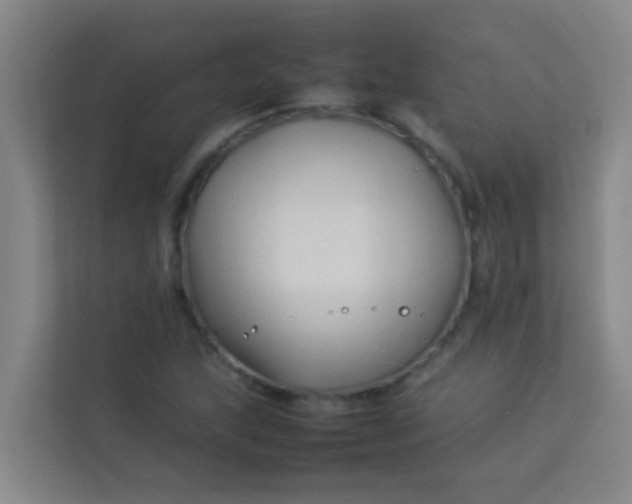 X0000113931215200910091555