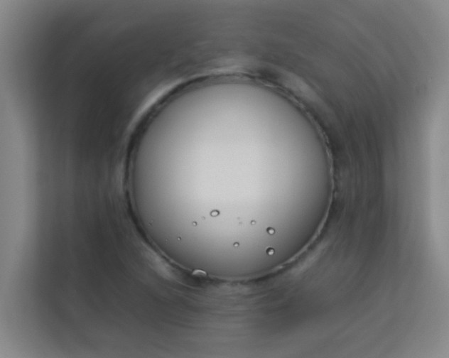 X0000113931216200910091555