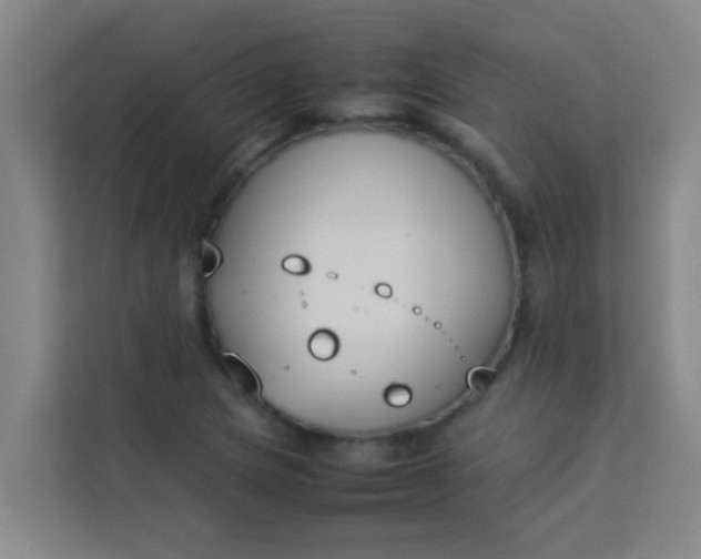 X0000113931217200910091555