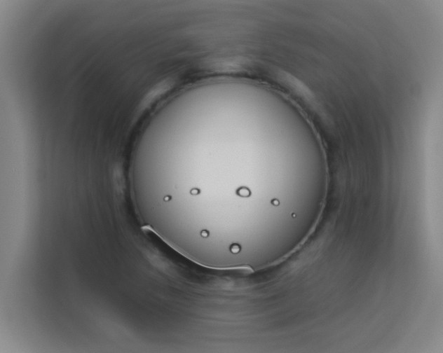 X0000113931218200910091555