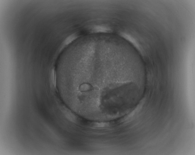 X0000113931219200910091555