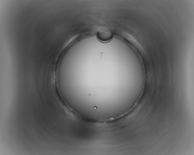 X0000113931220200910091555