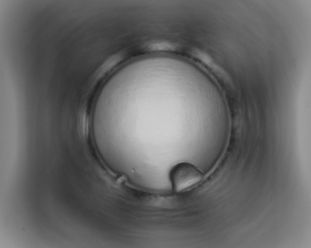 X0000113931221200910091555