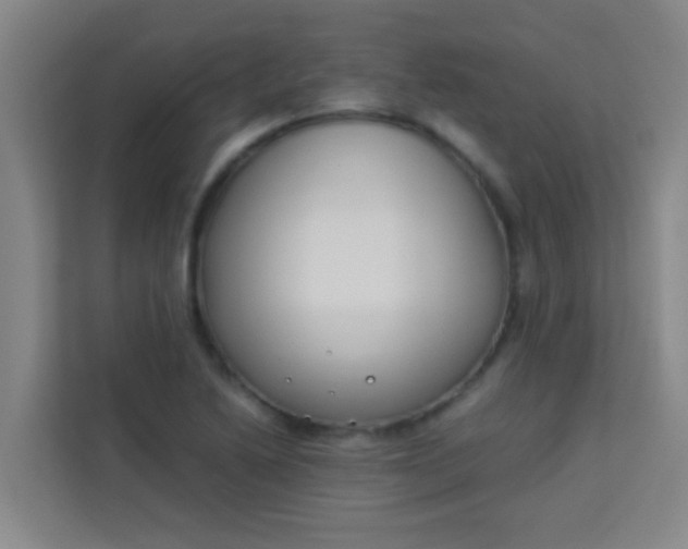 X0000113931222200910091555