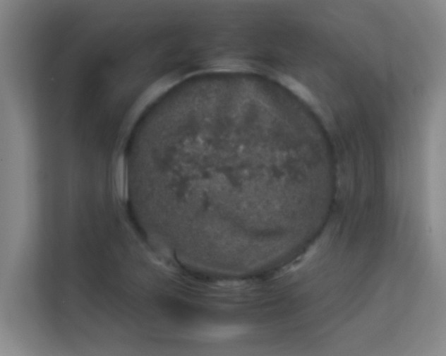 X0000113931223200910091555