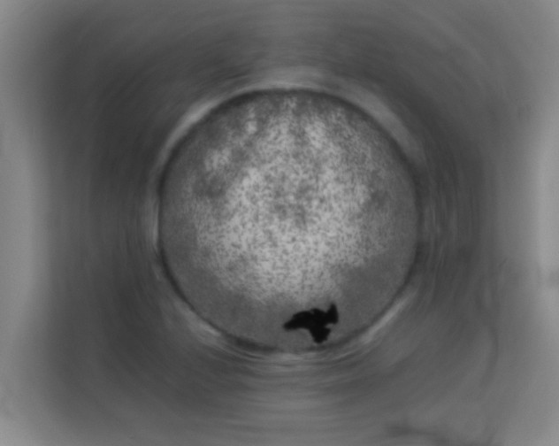 X0000113931224200910091555