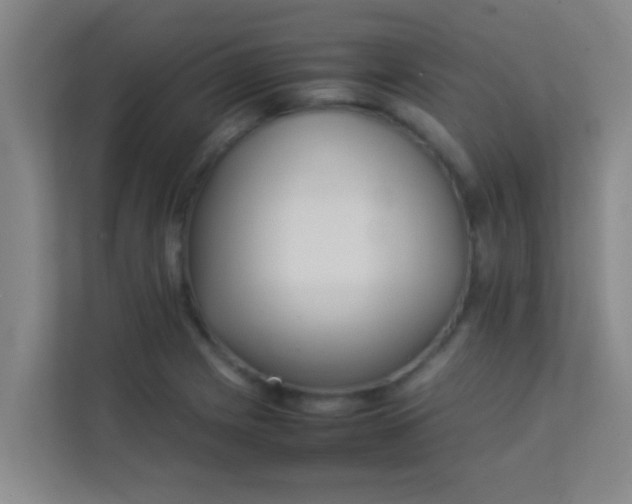 X0000113931225200910091555