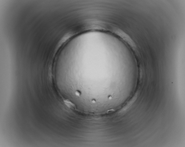 X0000113931226200910091555