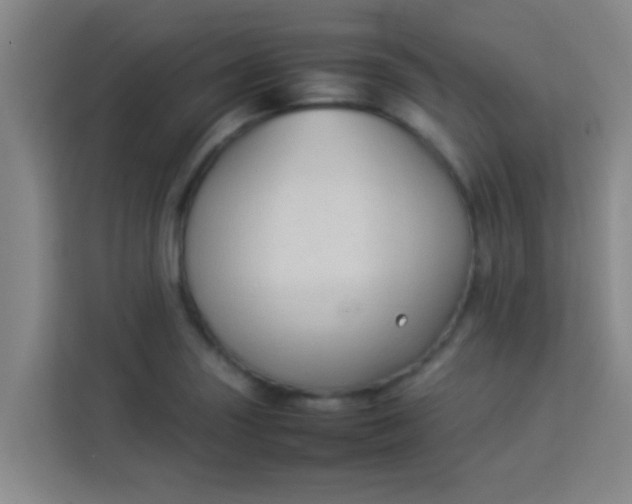 X0000113931227200910091555