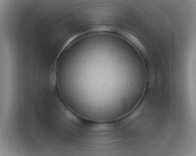 X0000113931228200910091555