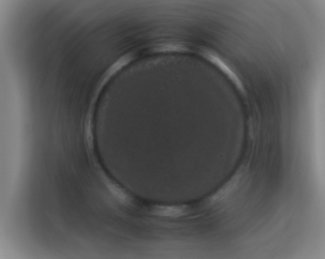 X0000113931229200910091555