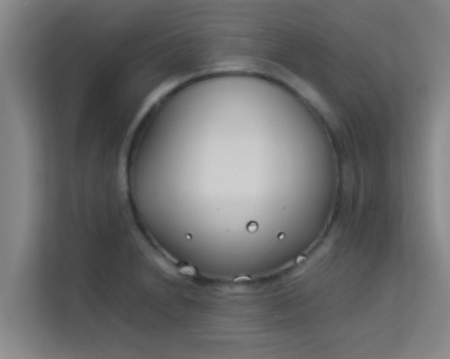 X0000113931230200910091555