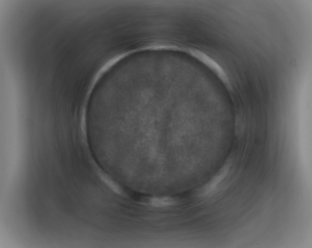 X0000113931231200910091555