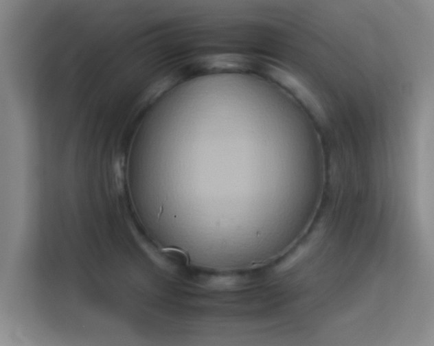 X0000113931233200910091555