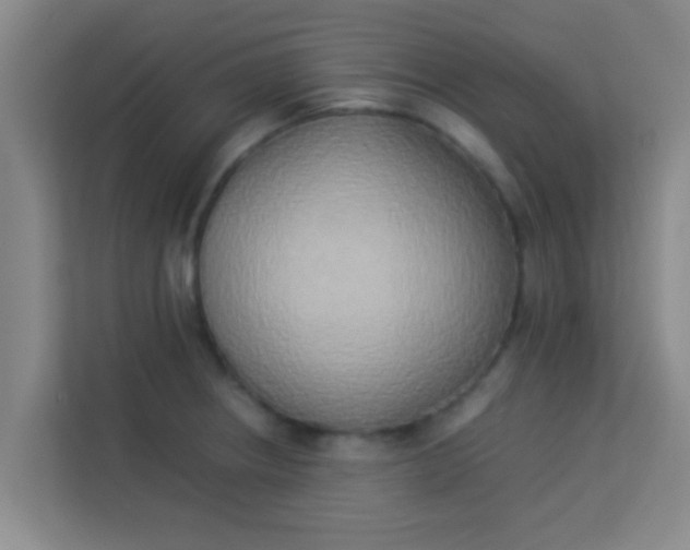 X0000113931234200910091555