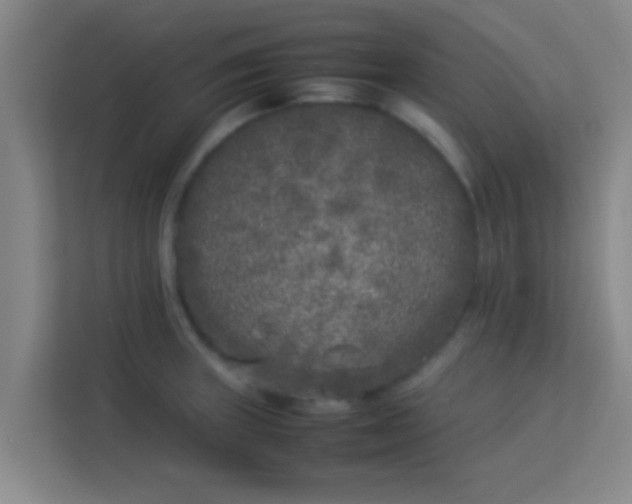 X0000113931235200910091555