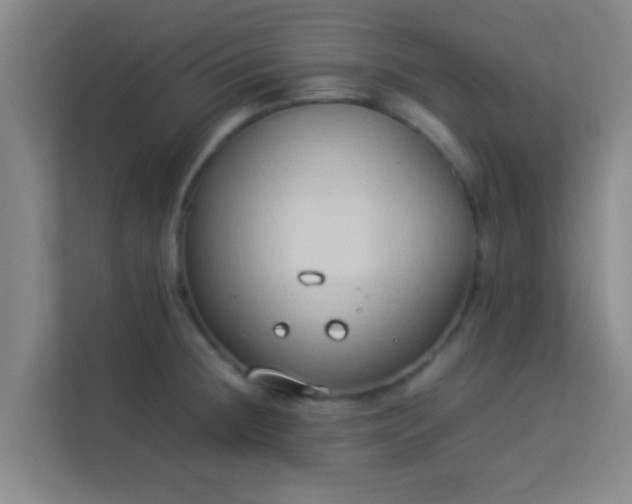 X0000113931236200910091555