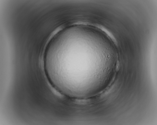 X0000113931237200910091555