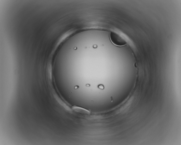 X0000113931238200910091555