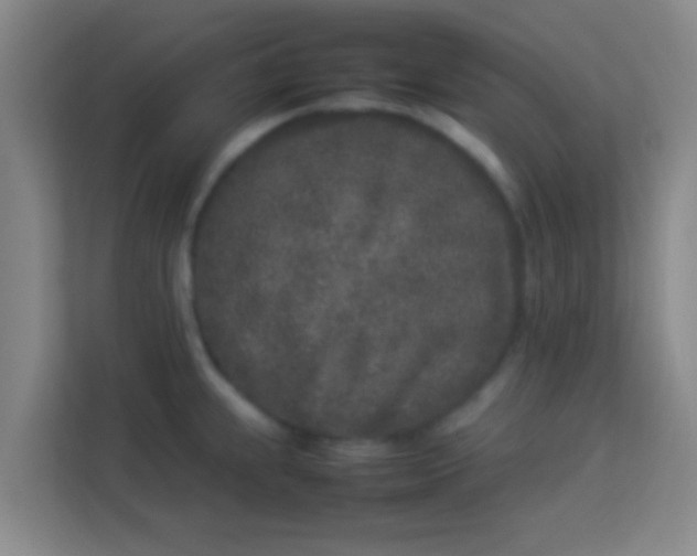 X0000113931239200910091555