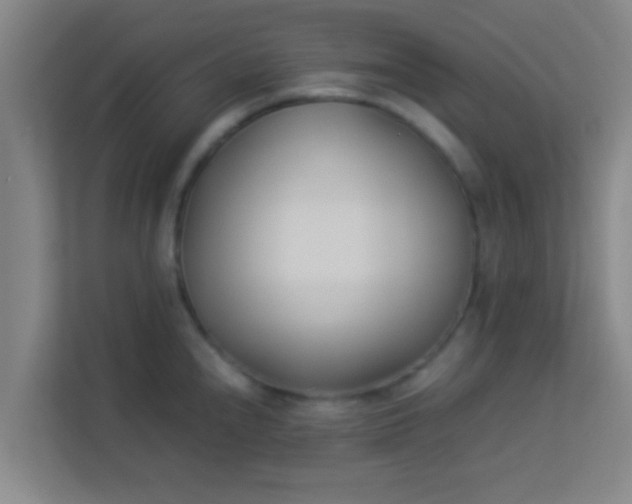 X0000113931240200910091555