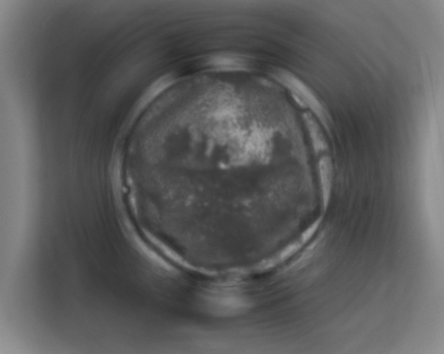 X0000113931243200910091555