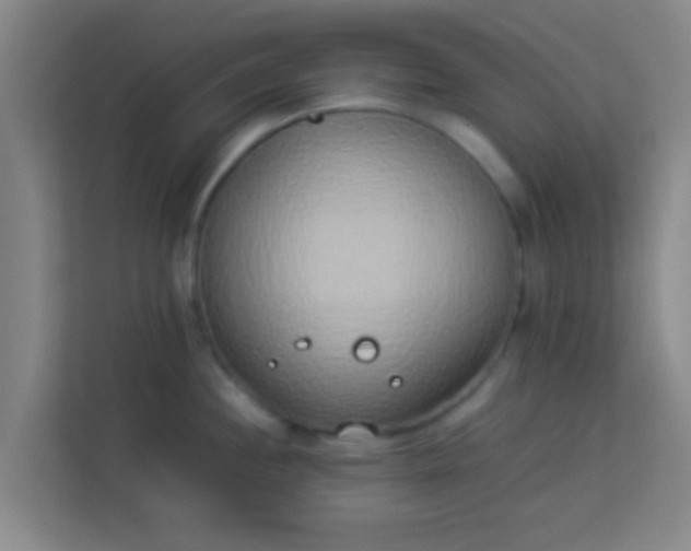 X0000113931244200910091555