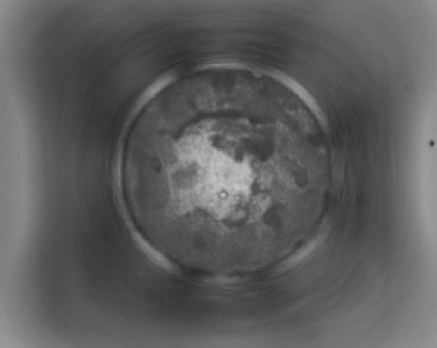 X0000113931245200910091555