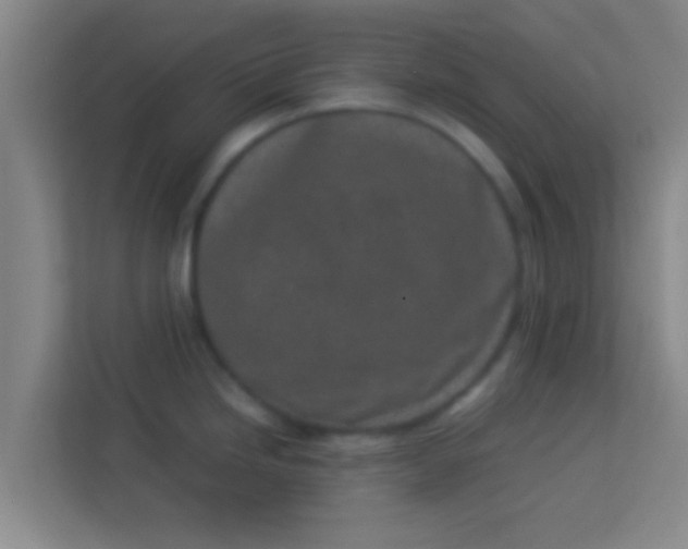 X0000113931246200910091555