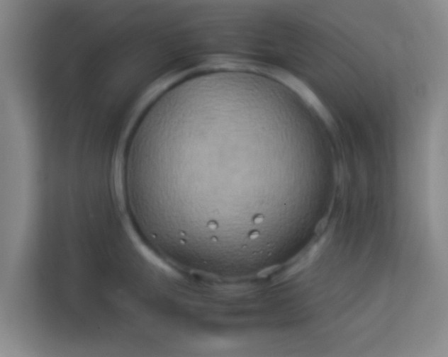 X0000113931247200910091555