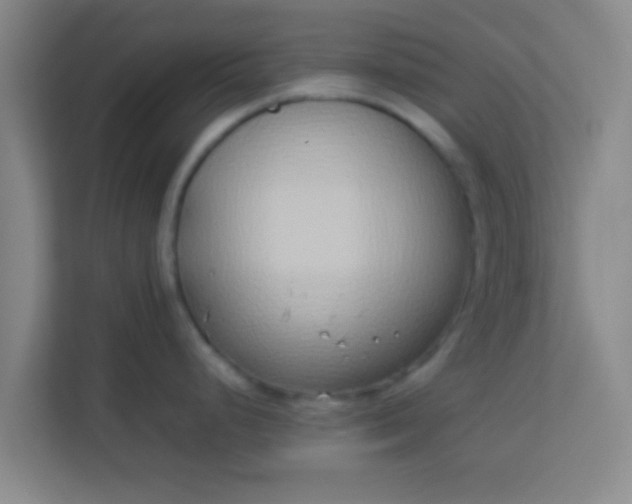 X0000113931248200910091555