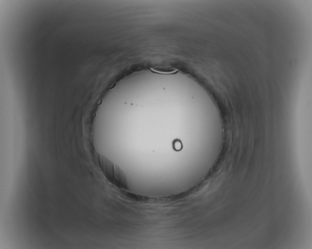 X0000113931249200910091555