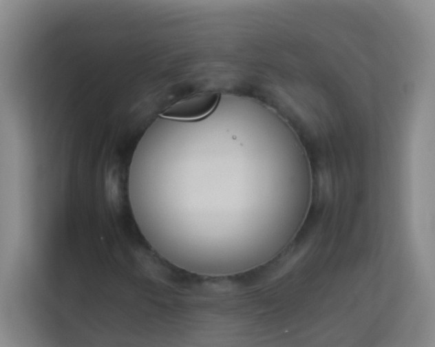 X0000113931250200910091555