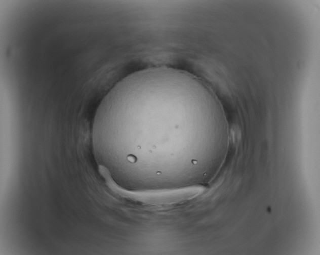 X0000113931251200910091555