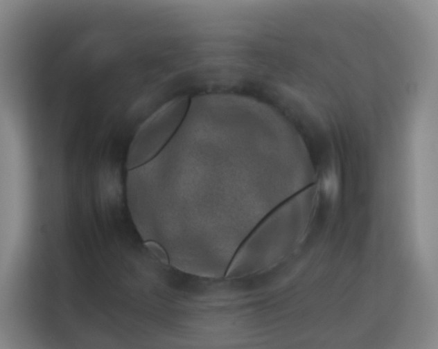 X0000113931252200910091555