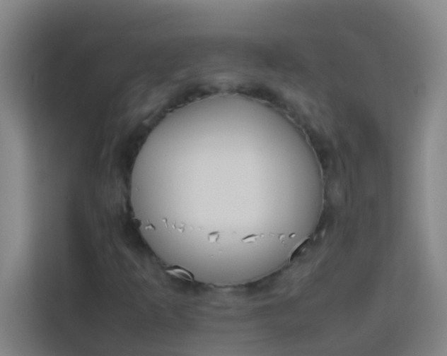 X0000113931253200910091555